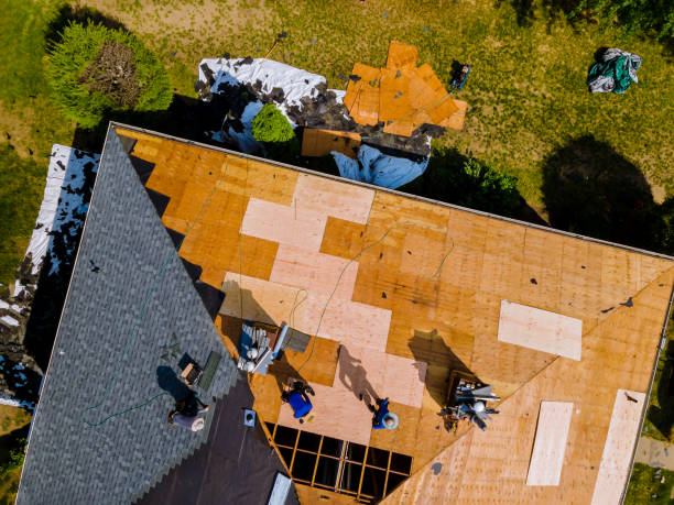 Best Roof Gutter Cleaning  in Coarsegold, CA
